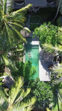 Aerial top-down view of a woman swimming backstroke in a private pool surrounded by palm trees