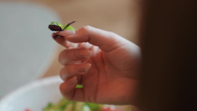 Bright natural light highlights fresh greens. Lighting emphasizes vibrant leafy vegetables and crisp textures. Morning sunlight shines on colorful salad with fresh mint before enjoying quick meal