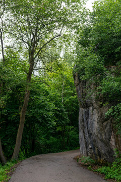 A quiet paved road bends around a towering limestone rock wall beneath dense summer trees. Scenic woodland route combines karst geology, natural vegetation and secluded travel, suitable for hiking, cy