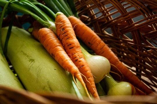 Fresh organic harvest of carrots and zucchini in wicker basket close up, raw vegetables with spring onions from backyard farm, local eco friendly agriculture and healthy eating concept
