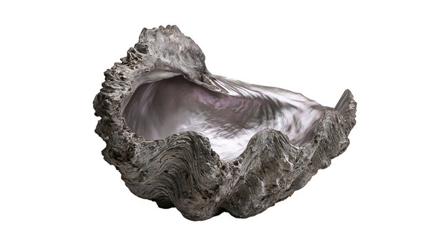 Large textured oyster shell with iridescent interior