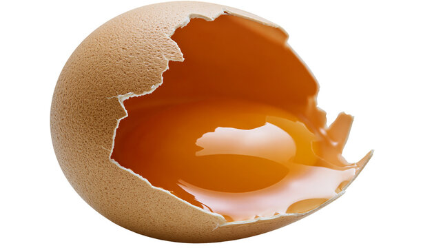 Broken Eggshell with Liquid Yolk and White