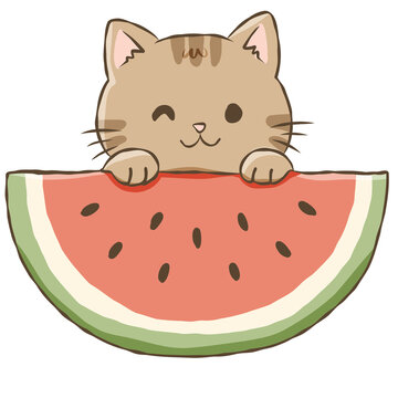 Brown Cat with Watermelon Slice Cute Summer Kitten Tropical Fruit Doodle Illustration