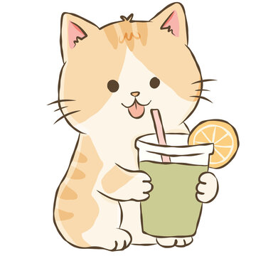 Orange Cat Drinking Matcha Cute Summer Kitten with Citrus Drink Doodle Illustration