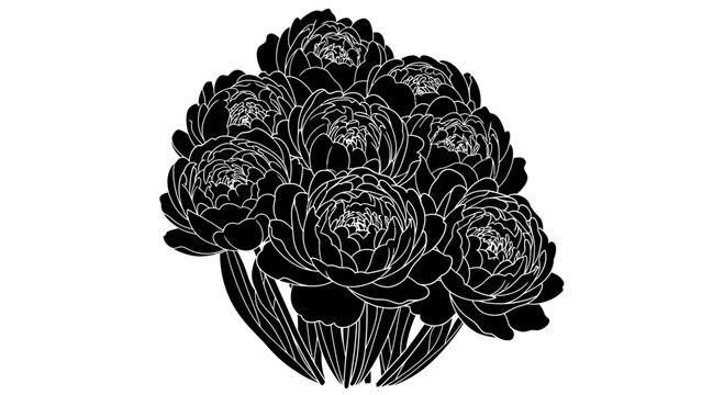 Bouquet of black peonies with white outline with stylized illustration bouquet white outlines botanical flowers graphic floral design nature