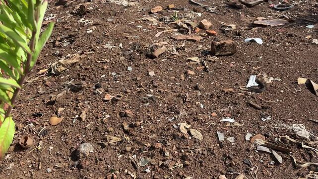 Close-up of broken glass fragments and debris on polluted soil