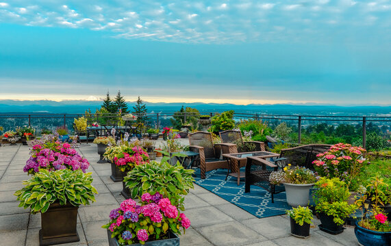 Hydrangeas on BC rooftop patio with extensive valley view.