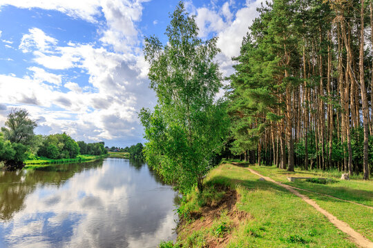 Beautiful natural landscape featuring a calm river, dense forest, and open sky