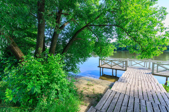 Serene lakeside dock surrounded by dense forest and calm water