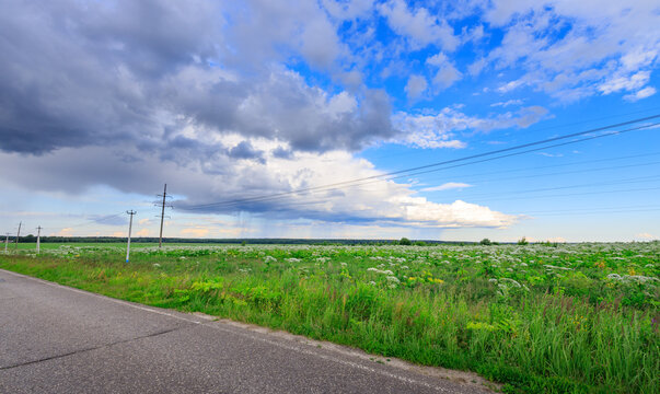 Wide road beside wildflowers under cloudy sky