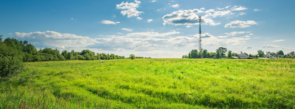 Vast green field stretches under bright blue sky