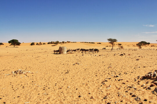 Small village in Sahara desert, Mauritania, West Africa