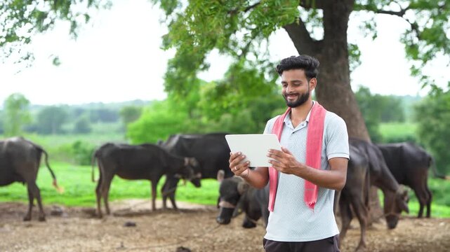 indian farmer using tablet at buffalo farm
