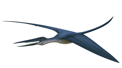 Pterodactyl flying with sharp teeth and orange eyes © Rowan