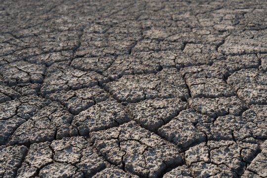 Withered plant surrounded by cracked dry soil, symbolizing drought, land degradation, high soil temperature, climate change, water scarcity and environmental stress.