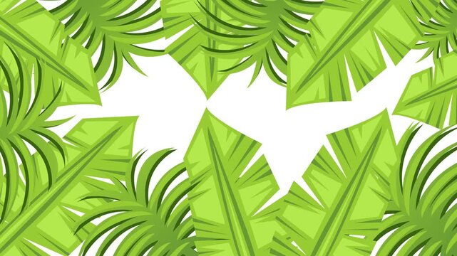 Palm tree leaves intro