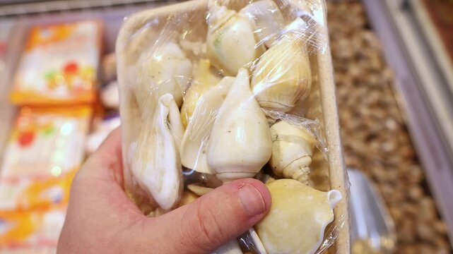 Fresh raw whole sea conch shell portions in transparent plastic food packaging tray held in customer hand at supermarket. Close up of seafood, ready for purchase from freezer display