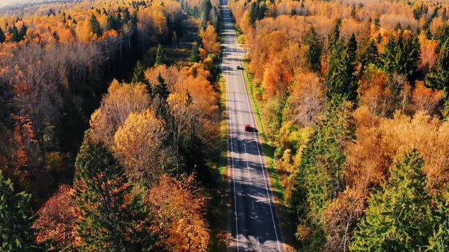 Autumn-themed aerial view over winding road surrounded by vibrant orange foliage and dense trees in Finland