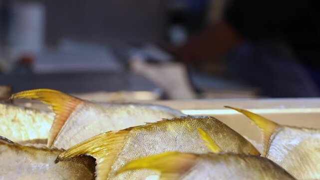 Fresh yellowtail fish on ice display at supermarket seafood counter. Close up of raw fish with yellow fins on metal tray with blurred background worker packing portion.