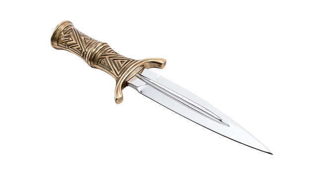 Ornate bronze hilt dagger with polished steel blade