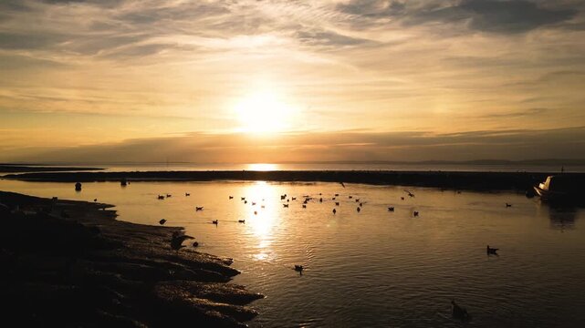 Drone footage of seabirds and boats during golden hour in Somerset