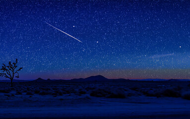 Naklejka premium A breathtaking view of a deep blue starry night sky with a visible shooting star streaking across. A silhouetted Joshua tree stands in the foreground on a desert landscape, with mountains on the
