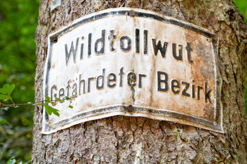 Naklejka premium Terrestrial rabies endangered district sign in german language, risk of infected animals in the forest, disease warning , wildlife endemic