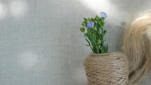 Blooming flax with shadows from sunlight and a spool of natural linen twine. Minimal. Copy space.