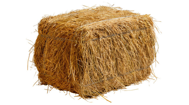 Rectangular hay bale tied with wire