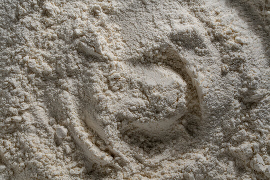 Top view macro background of white wheat flour texture. Full frame closeup of powdery white wheat flour texture with organic lumps scattered unevenly in soft natural side light with warm shadows