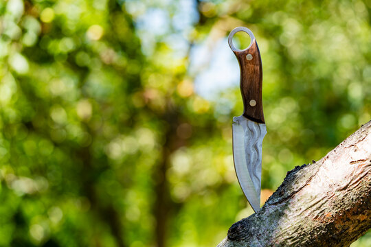 Handmade hunting knife stuck in tree branch outdoor. Closeup side view of custom steel hunting knife with dark wooden handle stuck vertically into tree branch on bright green blurred bokeh background