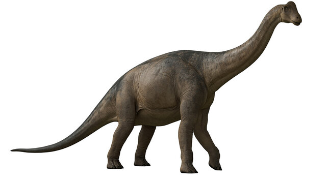 Sauropod dinosaur with long neck and tail