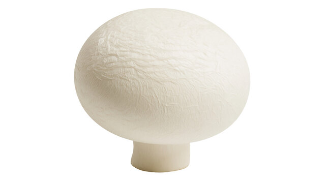 White button mushroom with textured cap and stem