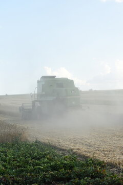 Rear view of a combine harvester moving away while threshing ripe wheat in a field, with a large cloud of dust rising behind the agricultural machinery, vertical composition.