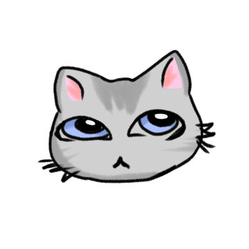 gray cat