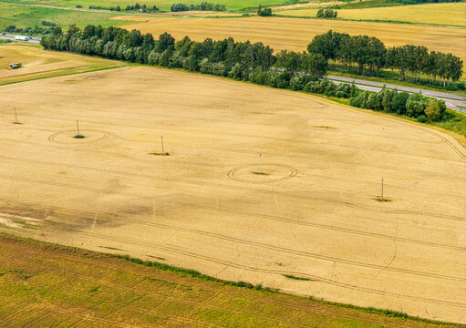 Aerial view of a golden wheat field with circular patterns around utility poles, bordered by a road with trees in Elektrenai Municipality, Vilnius County, Lithuania.