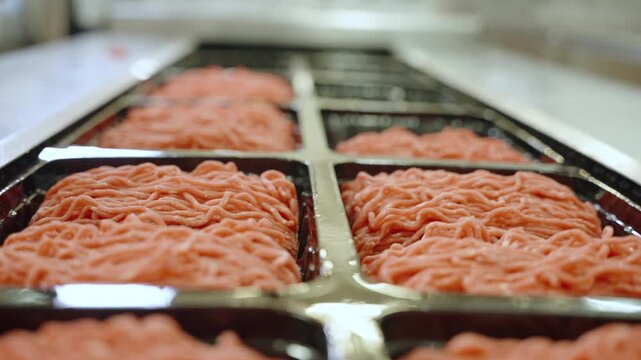 Rows of raw mince in black trays move past as a gloved worker inspects the packs on a food factory conveyor.