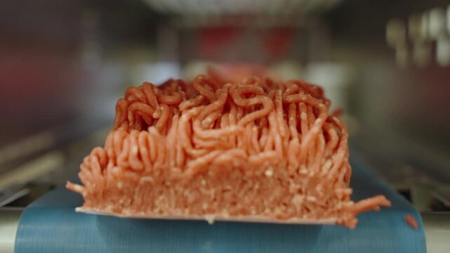 Packaged portions of minced beef ride a blue belt through a stainless steel packing tunnel in a South African meat facility.