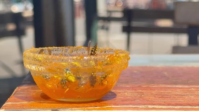 Multiple European wasps feed on sweet orange marmalade inside a small glass cup on a wooden table. The insects swarm and crawl over the sticky fruit preserve to drink sugar.