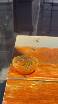 Multiple wasps crawl and feed on orange jam inside a small glass container placed on a wooden table. The insects gather to eat sweet fruit preserves during warm weather.