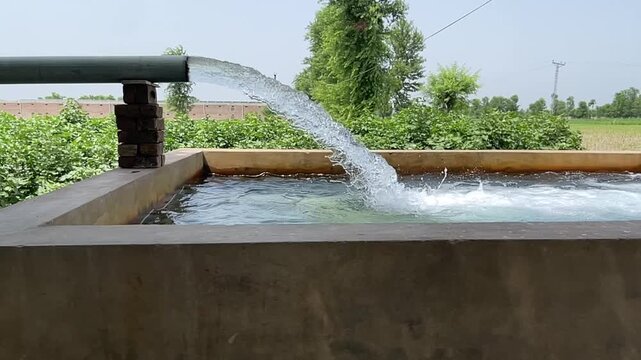 Water rushing from a tubewell irrigation system into a farm pond during daytime