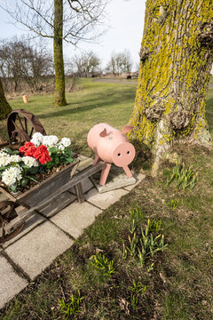 Rustic garden scene with decorative metal pig planter and spring flowers in countryside setting.