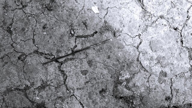 Black and white dry ground texture with weathered cracked surface and organic patterns. Ideal for grunge backgrounds, environmental concepts and graphic resources.