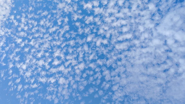 Blue sky background covered with small scattered white altocumulus clouds pattern