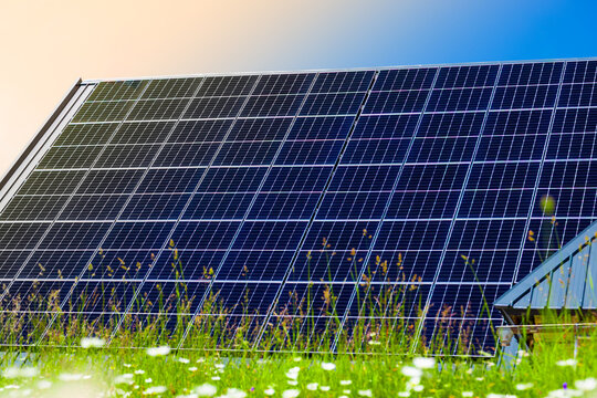 Large photovoltaic installation in the Italian Dolomite Alps surrounded by alpine meadow and wildflowers.