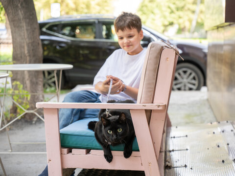 A Caucasian boy in a cafe with a cat on a leash. Pet-friendly outdoor cafe.