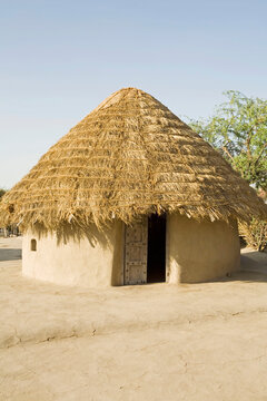 thatched roof house