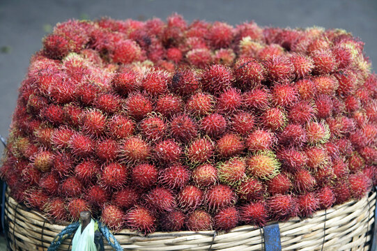 rambutan fruit in a basket