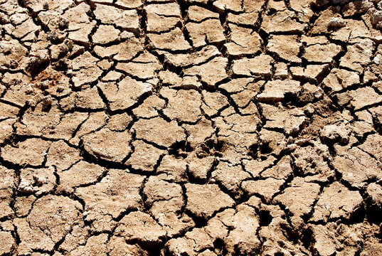 dry cracked earth