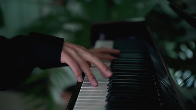 A person's hands plays the piano. A person plays the piano in a quiet room. Soft lighting fills the space and green plants are visible in the background. The focus is on the hands moving across the ke
